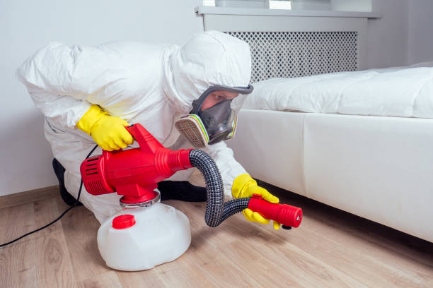 Best Pest Removal Services  in USA